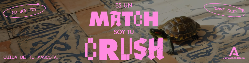 Es un match, soy tu crush
