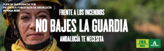 Frente a los incendios no bajes la guardia