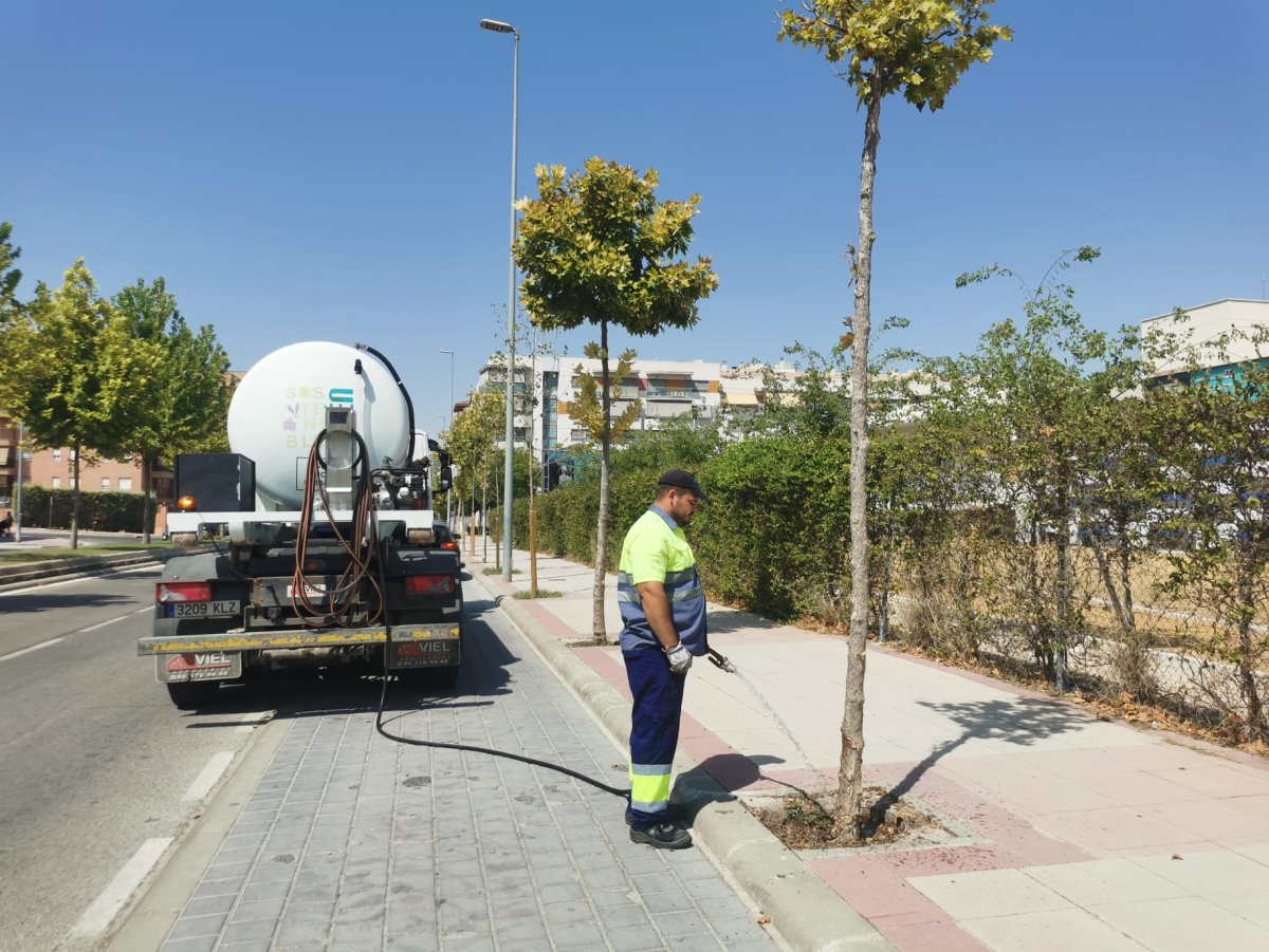  El Ayuntamiento mantiene el riego intensivo en el arbolado de la capital 