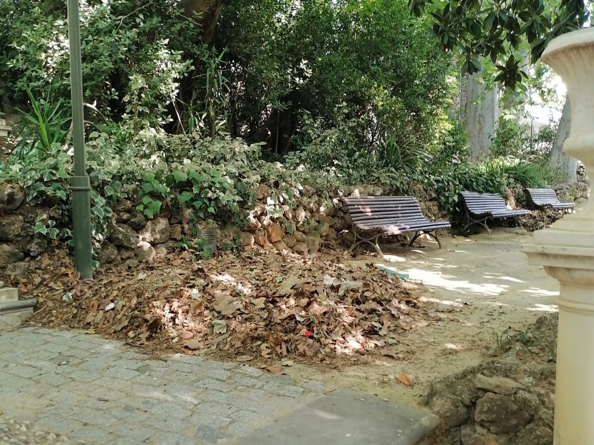 La Concejalía de Medio Ambiente limpia y prepara los Jardines de Jabalcuz