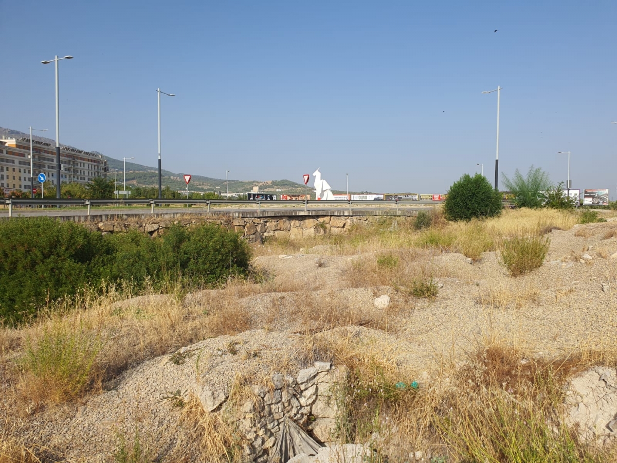  Primeros pasos para poner en valor la villa romana Cortijo de los Robles 