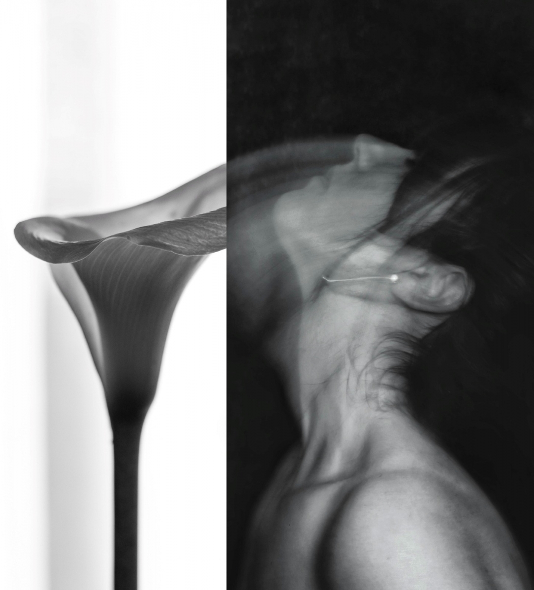  El IV Concurso de Fotografía Poética Hernandiana ya tiene imagen ganadora 