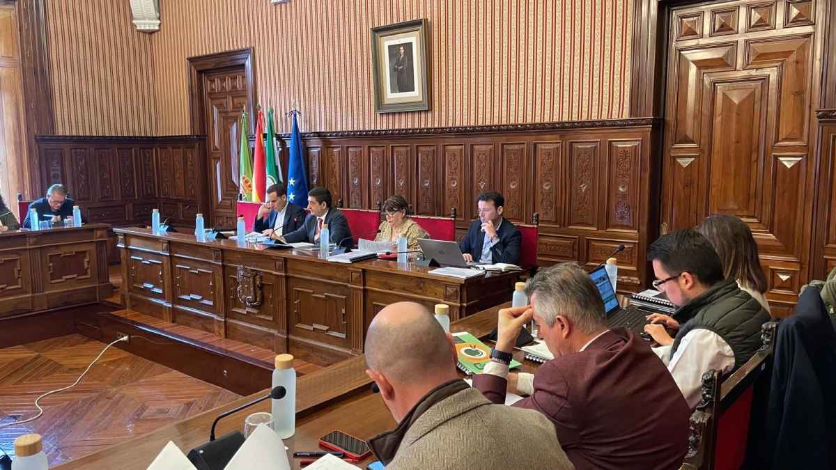  La Diputación debate el estado de la provincia en un pleno extraordinario 