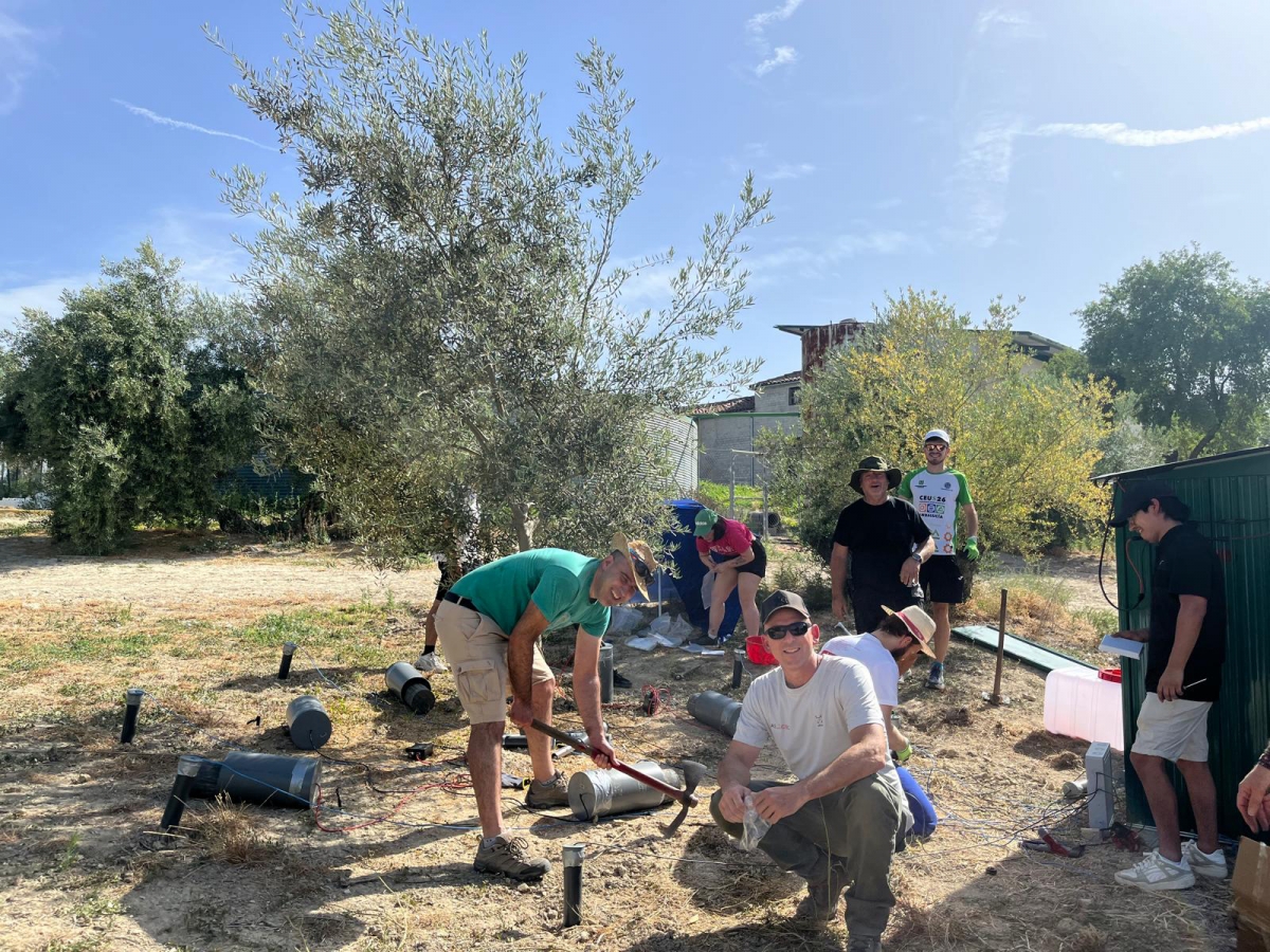  Soil O-Live ensaya nuevas técnicas para descontaminar suelos de olivar 