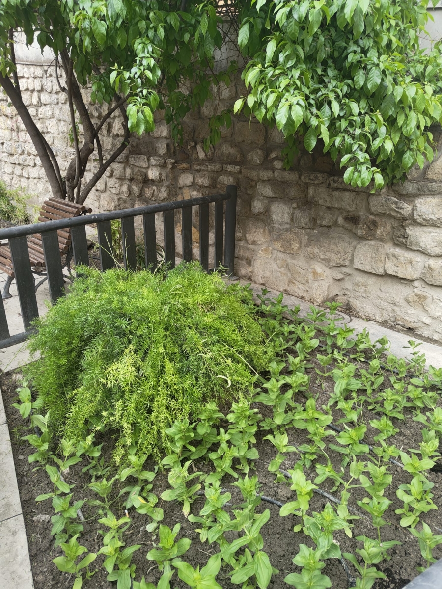  Trabajadores del Centro Especial de Empleo embellecen la capital 