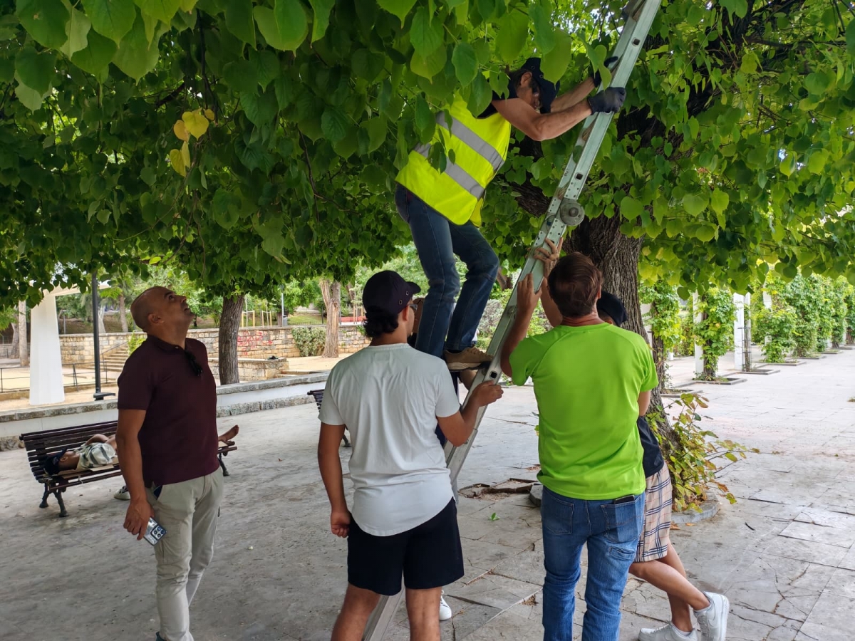  Jaén cuenta con 30 cajas nido por la ciudad para presevar la biodiversidad 