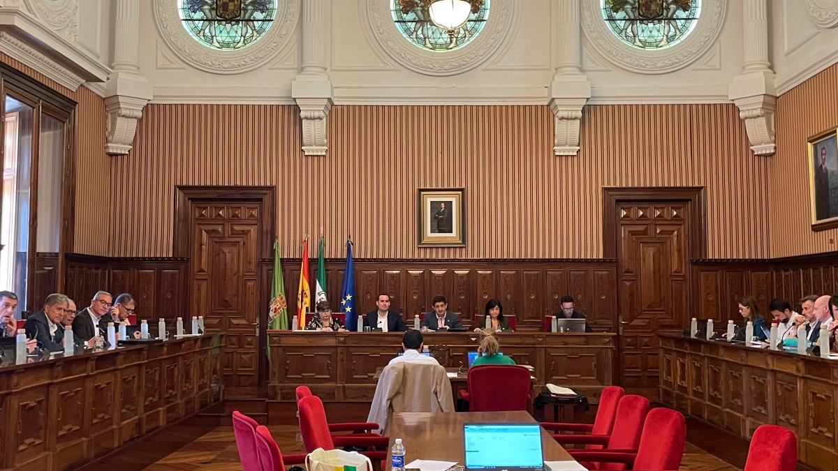  El pleno de la Diputación da luz verde a 7 millones para planes de empleo 