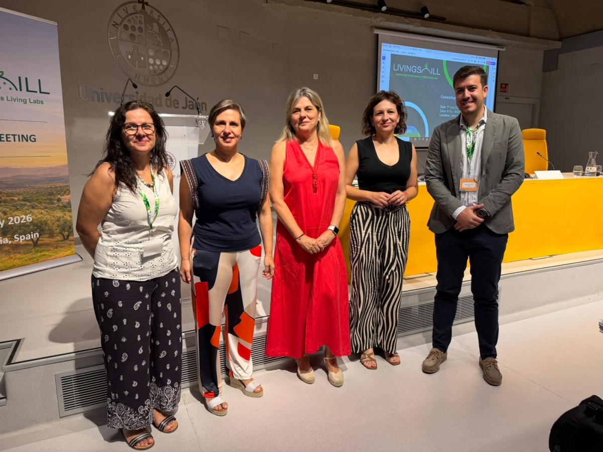  El Living Lab Andaluz reúne a expertos  para proteger el suelo del olivar 