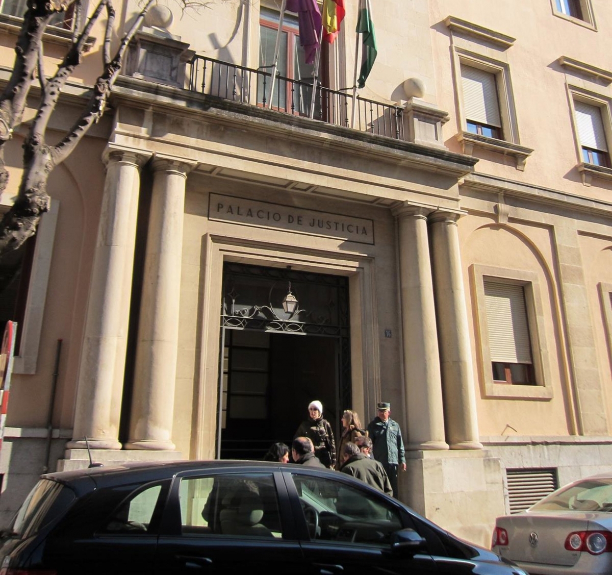  600 euros de multa por pegar una patada a un gato callejero 