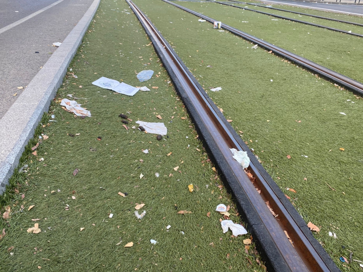 JM+ requiere a la Junta la limpieza del césped del tranvía