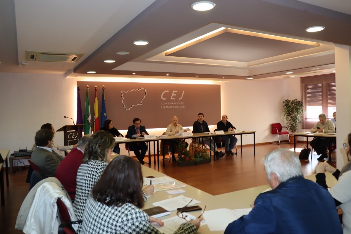 El CES avala por unanimidad el traspaso de la recaudación a la Diputación