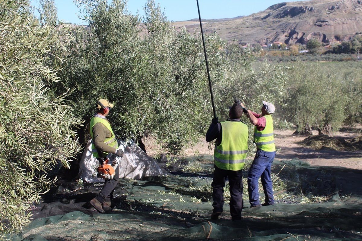 COAG rechaza el acuerdo UE-EE.UU. por sacrificar de nuevo a la agricultura