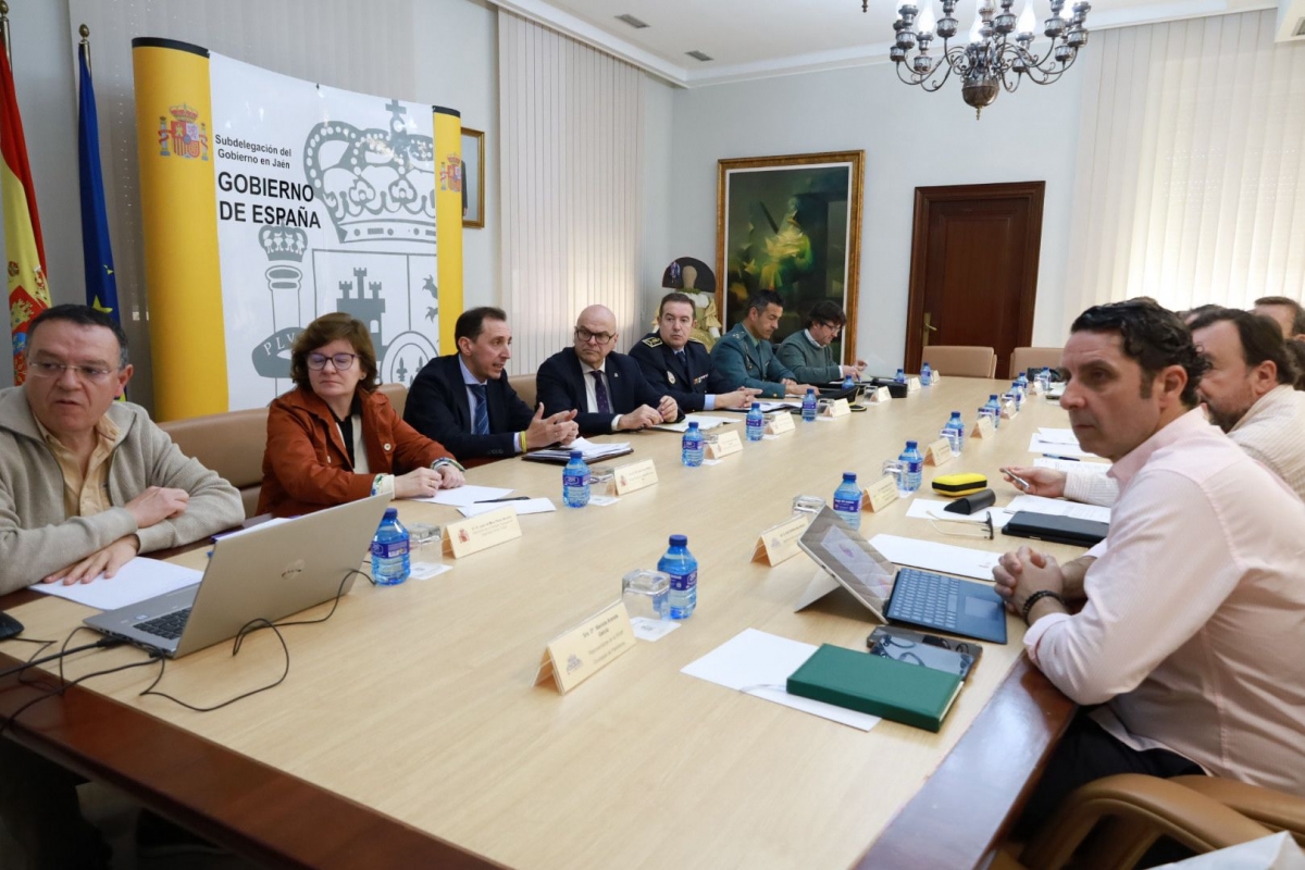  Jaén cierra 2025 con 17 fallecidos en carretera, siete menos 