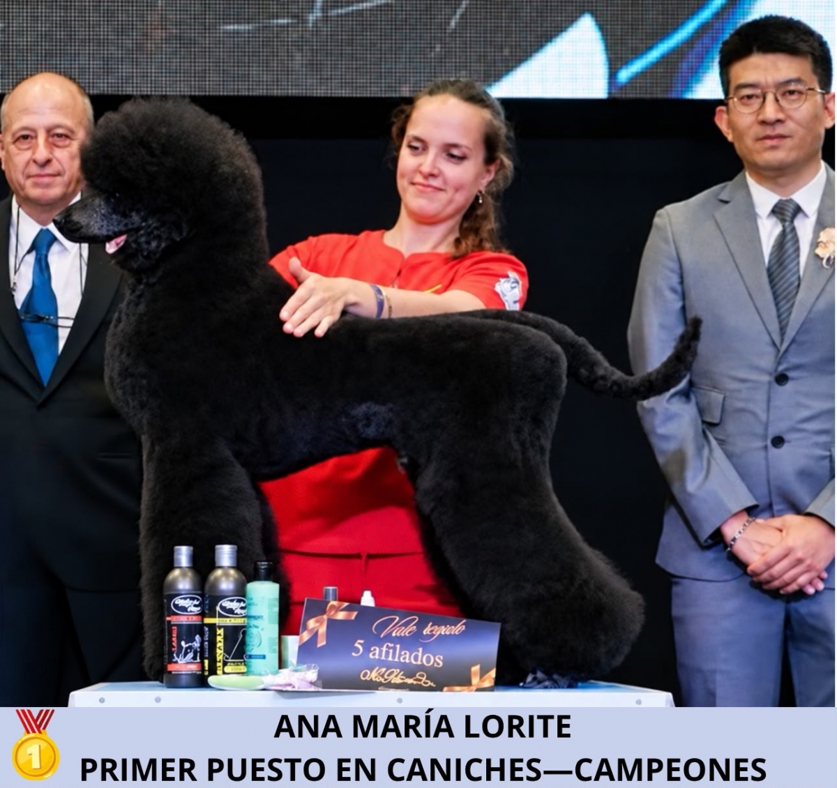  Cococan triunfa en el Campeonato Mundial de Peluquería Canina 