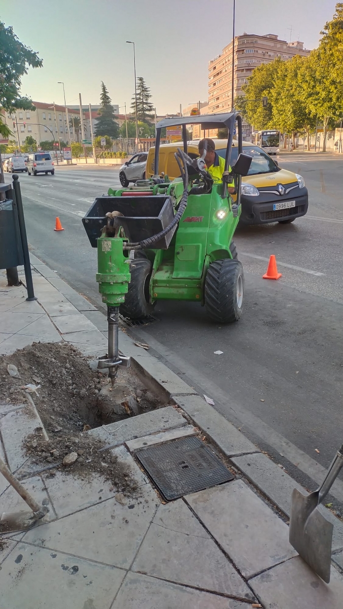 El Ayuntamiento prepara varias calles para reponer el arbolado