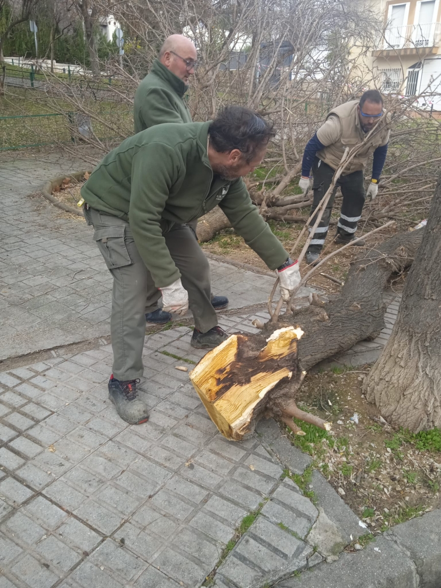  El Ayuntamiento intensifica los trabajos de recuperación de parques 