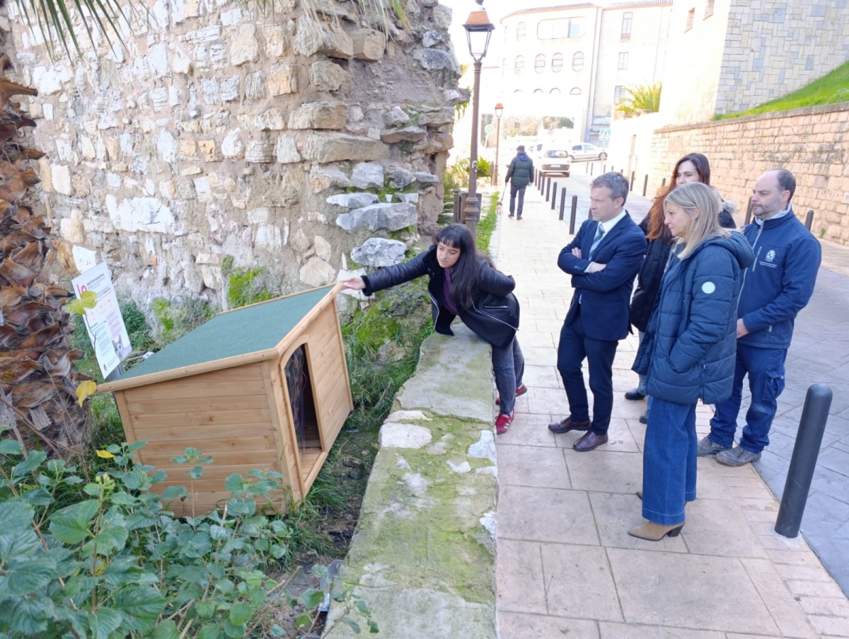  El Ayuntamiento instala casetas para colonias felinas censadas 