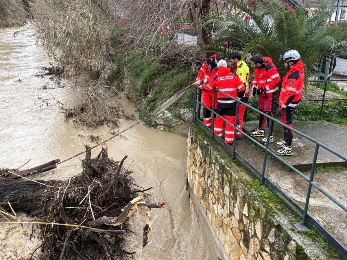  Los bomberos retiran un gran árbol del río en el Puente Jontoya 