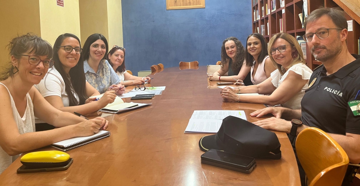 La Comisión de Discapacidad dará prioridad a la accesibilidad y movilidad