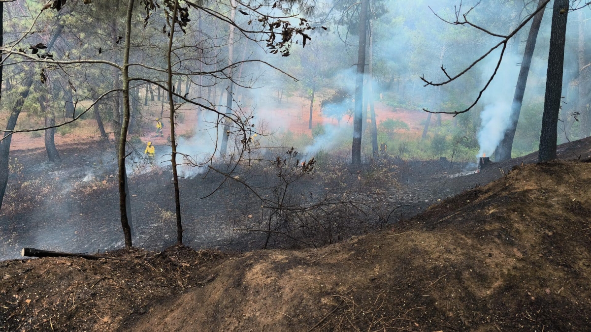  Incendio forestal en un paraje de Cortijos Nuevos en la Sierra de Segura 