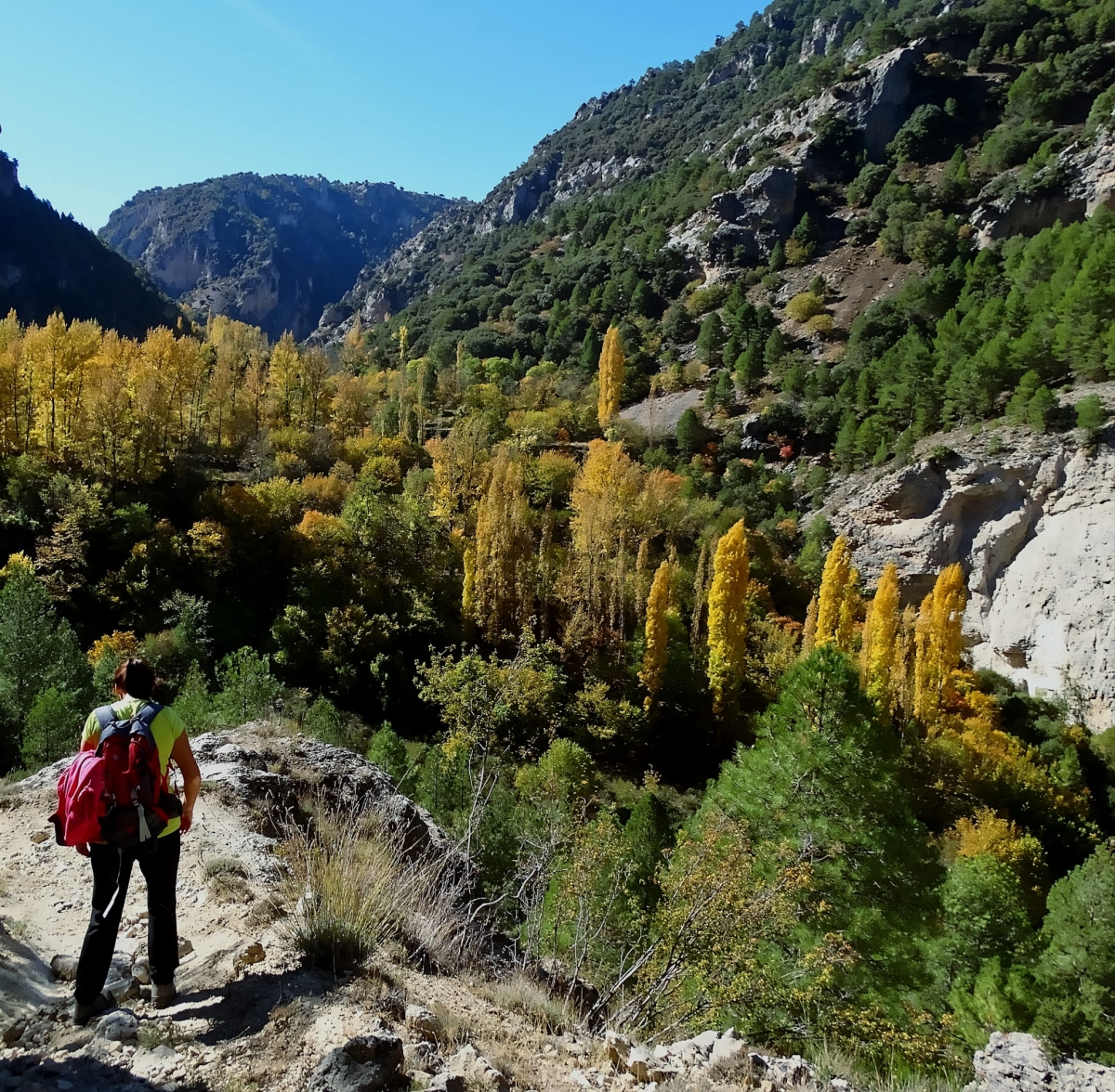  Otoño y los primeros pasos del río Segura 