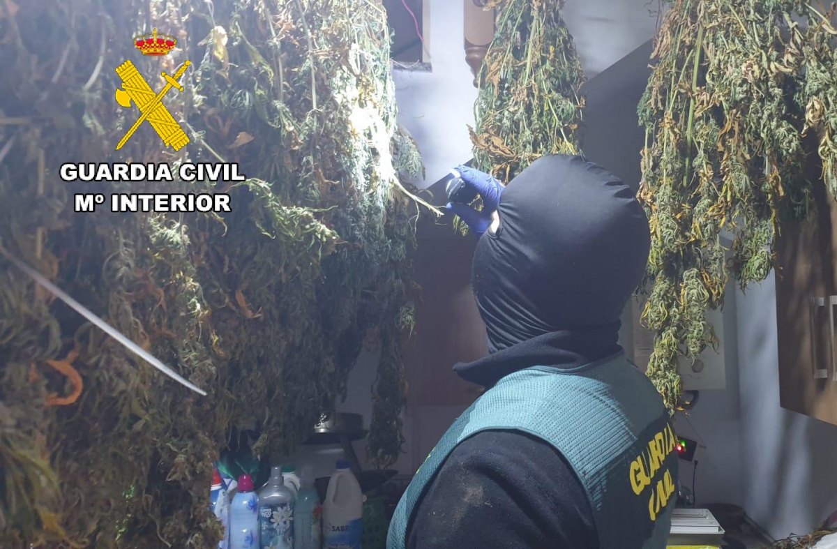  Desarticulado un grupo de tráfico de drogas en la provincia 