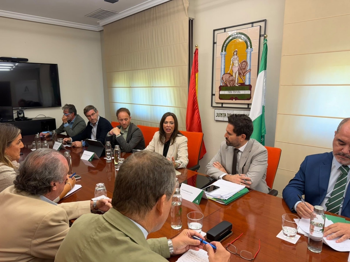  Rocío Díaz estudia la vivienda con la Mesa de Construcción de Jaén 