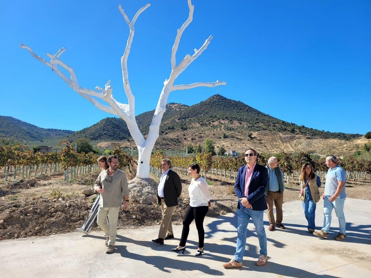La Junta destina 200.000 euros a las Bodegas Gutiérrez Gamez