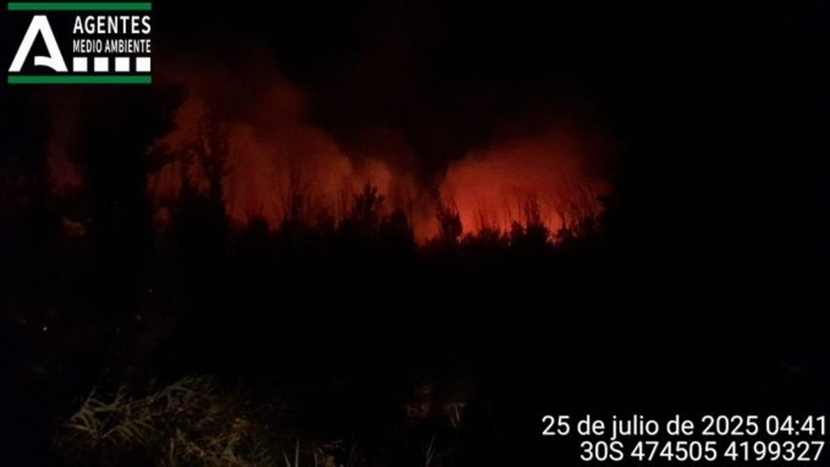  Siguen los trabajos para controlar el incendio de Puerto Bajo en Andújar 