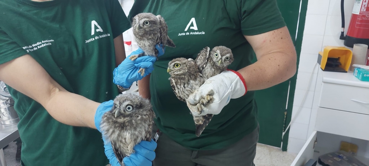  Un millón de euros para el Centro de Recuperación de Especies Amenazadas 