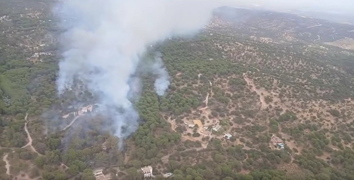  Andújar señala la importancia de los planes antiincendios para Las Viñas 