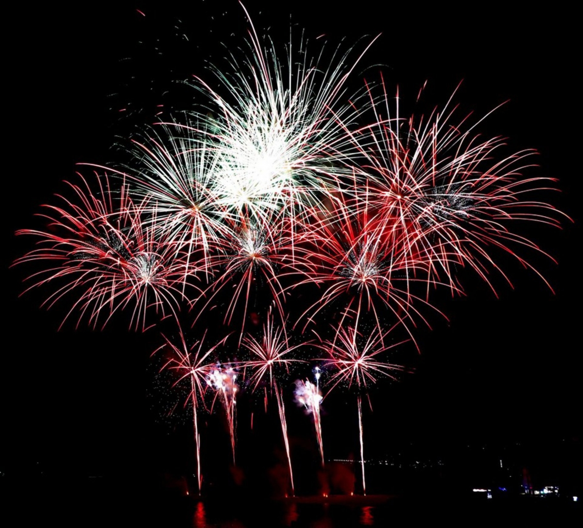  El sector pirotécnico critica el veto a los fuegos artificiales 