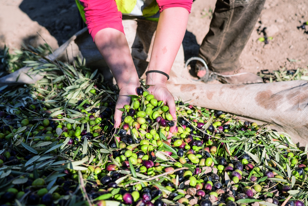  UPA ve en la regularización de migrantes un "punto de inflexión" 