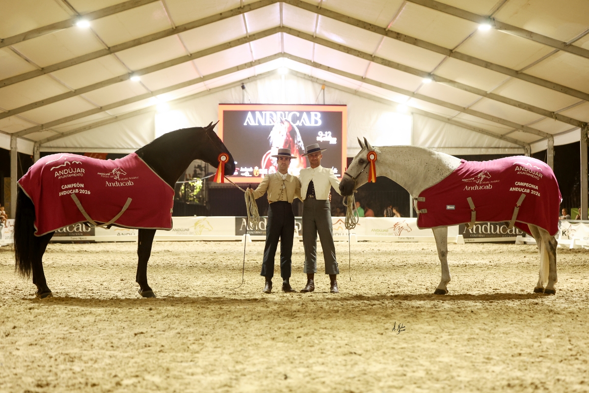  Anducab 2026 premia los mejores caballos y ganaderías 
