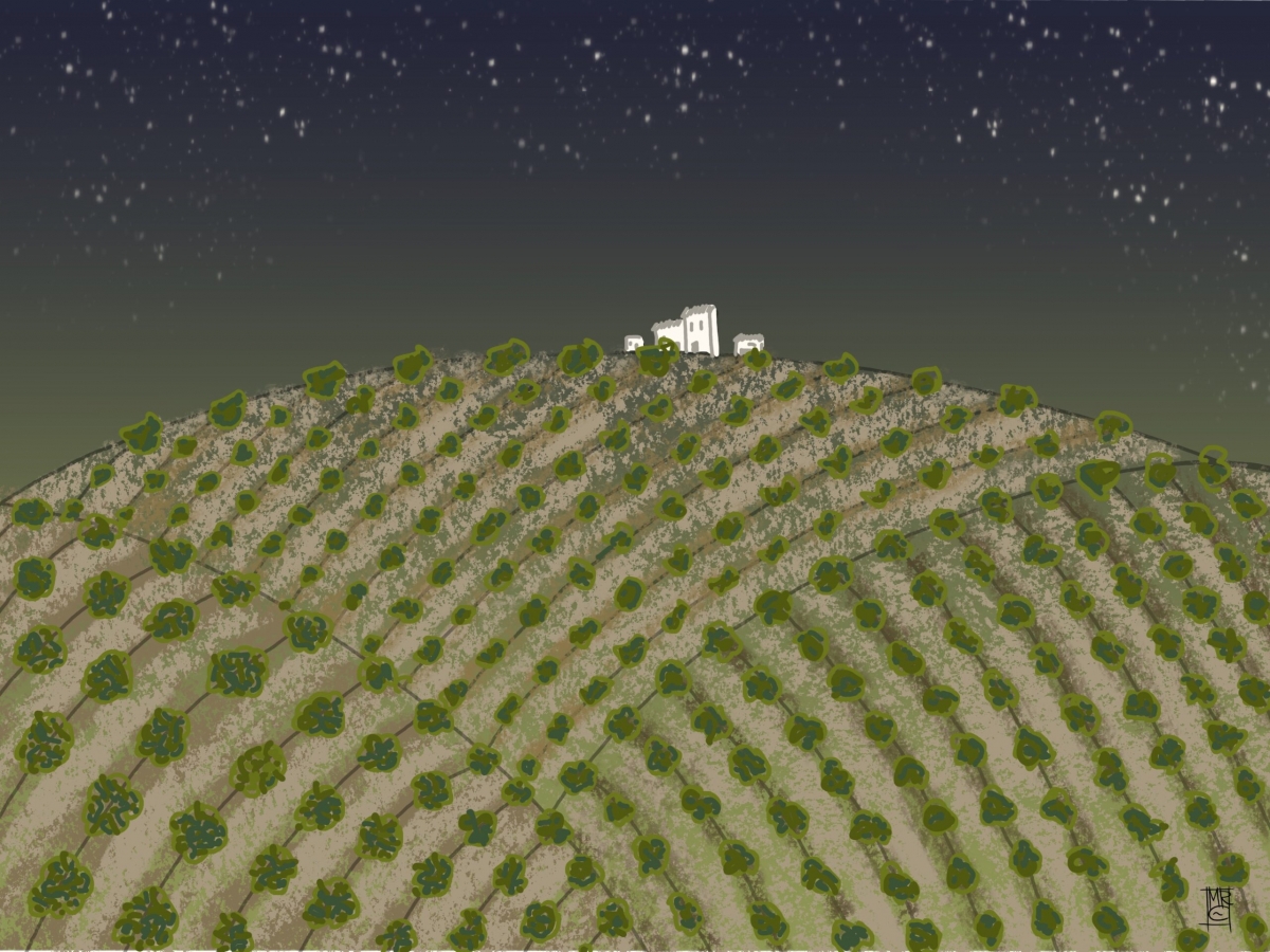  Benedicto Martínez gana el VIII Concurso de Relatos sobre Olivar 