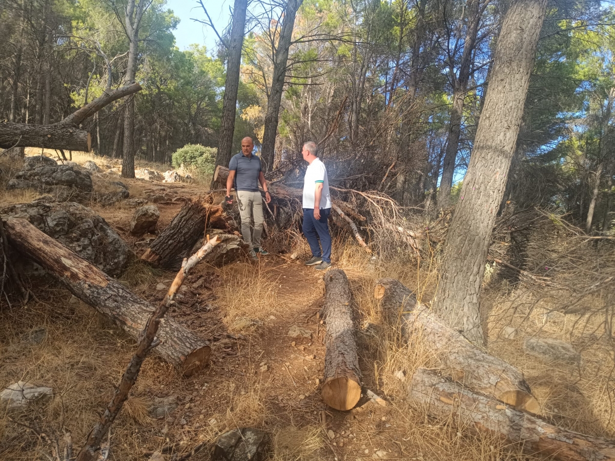  El Ayuntamiento exige la retirada de masa forestal del Neveral 
