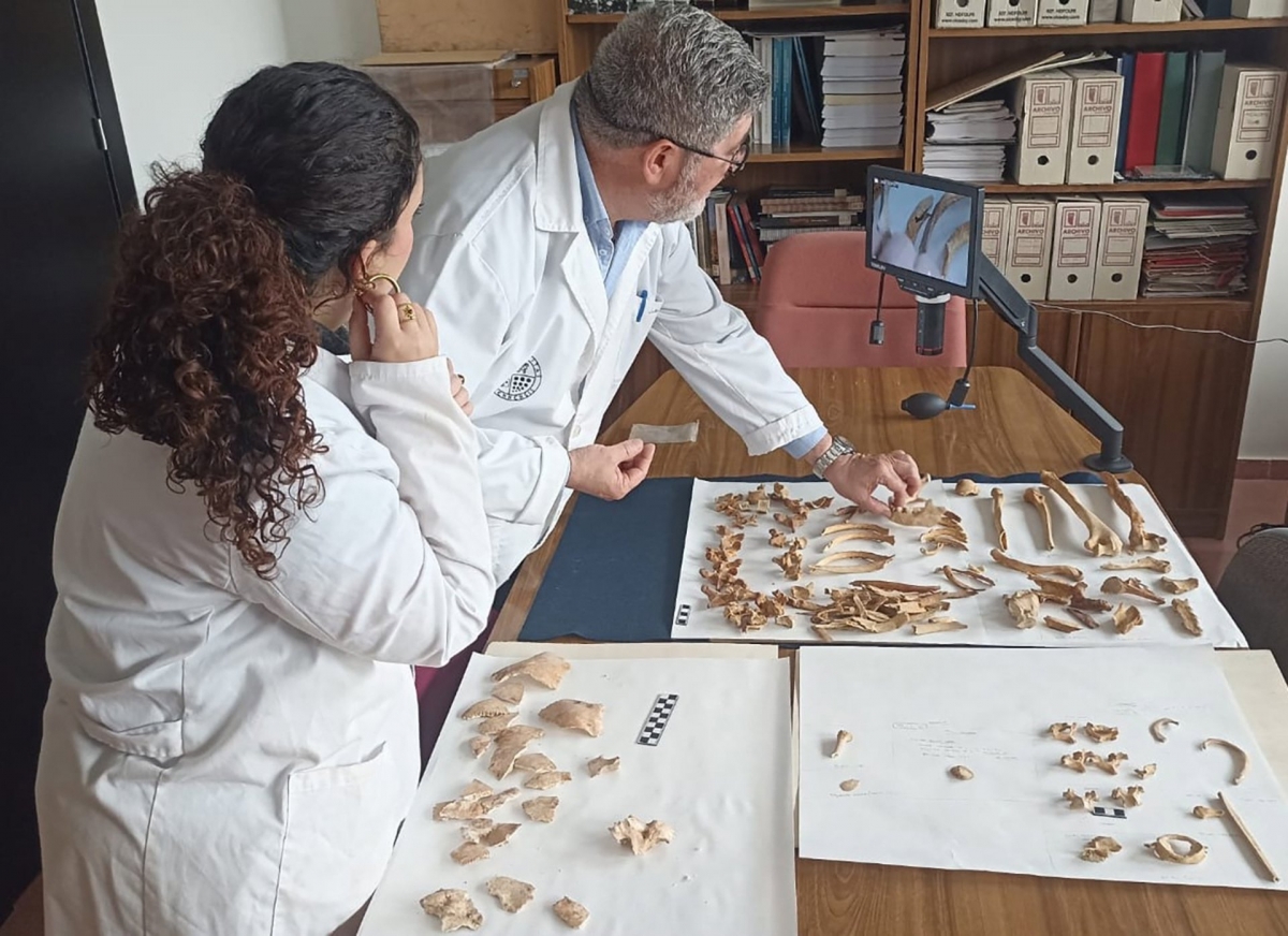  La UJA impulsa un estudio sobre las necrópolis de Marroquíes Bajos 