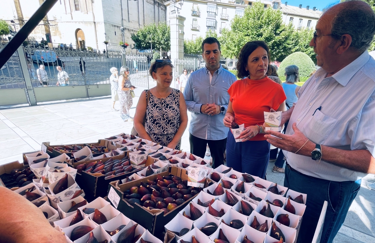  La breva de Jimena se promociona en la lonja de la Diputación 