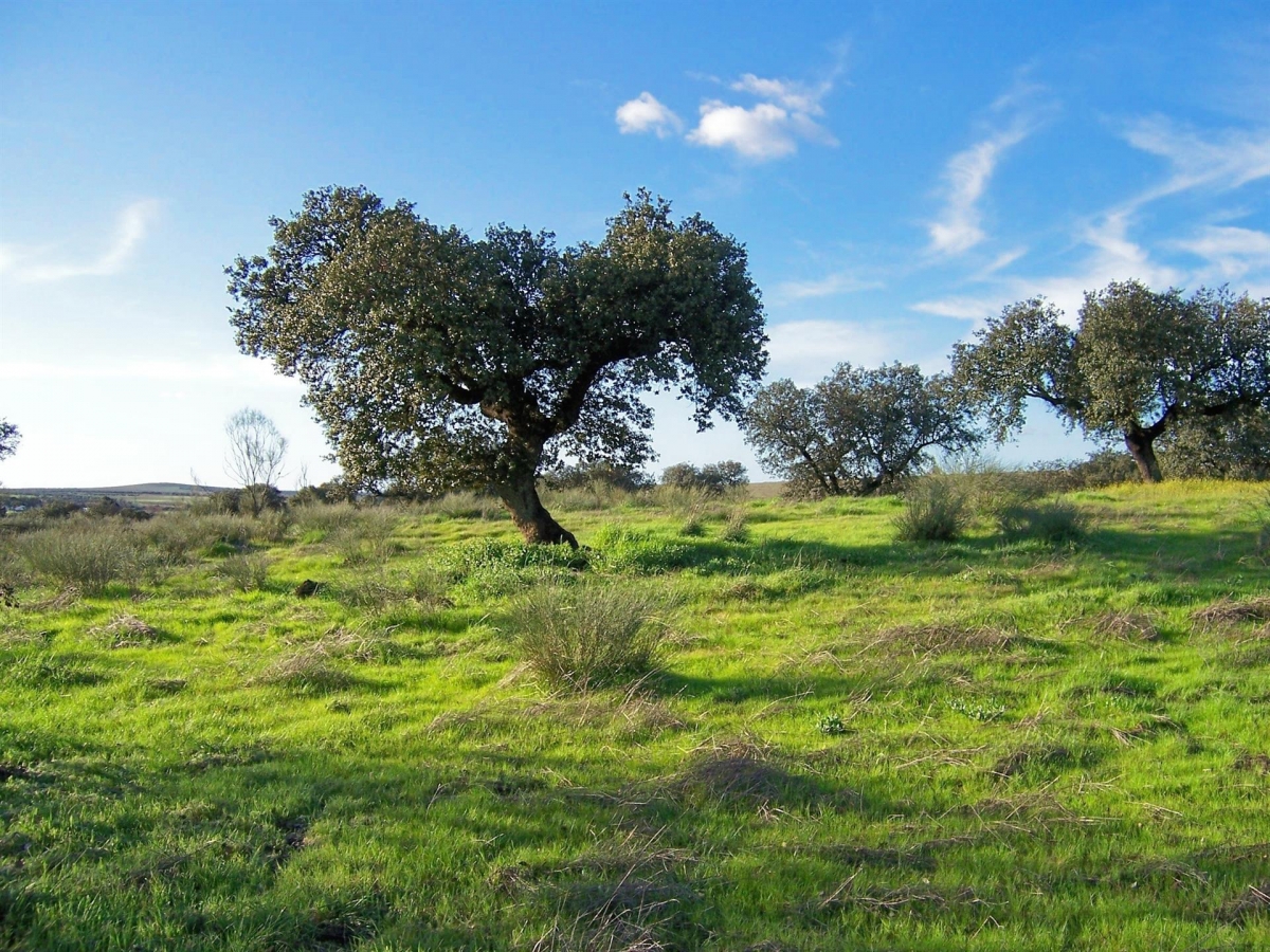 UPA pide una Ley de Impulso y Promoción de la Producción Ecológica