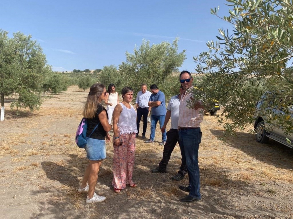 El Gobierno flexibiliza la PAC y admite ayudas a los sistemas agrivoltaicos