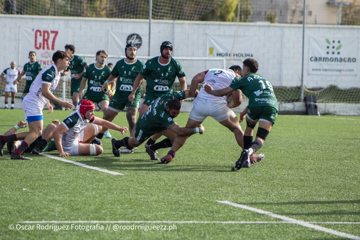  Jaén Rugby comenzará la temporada 2026/2027 jugando en Madrid 