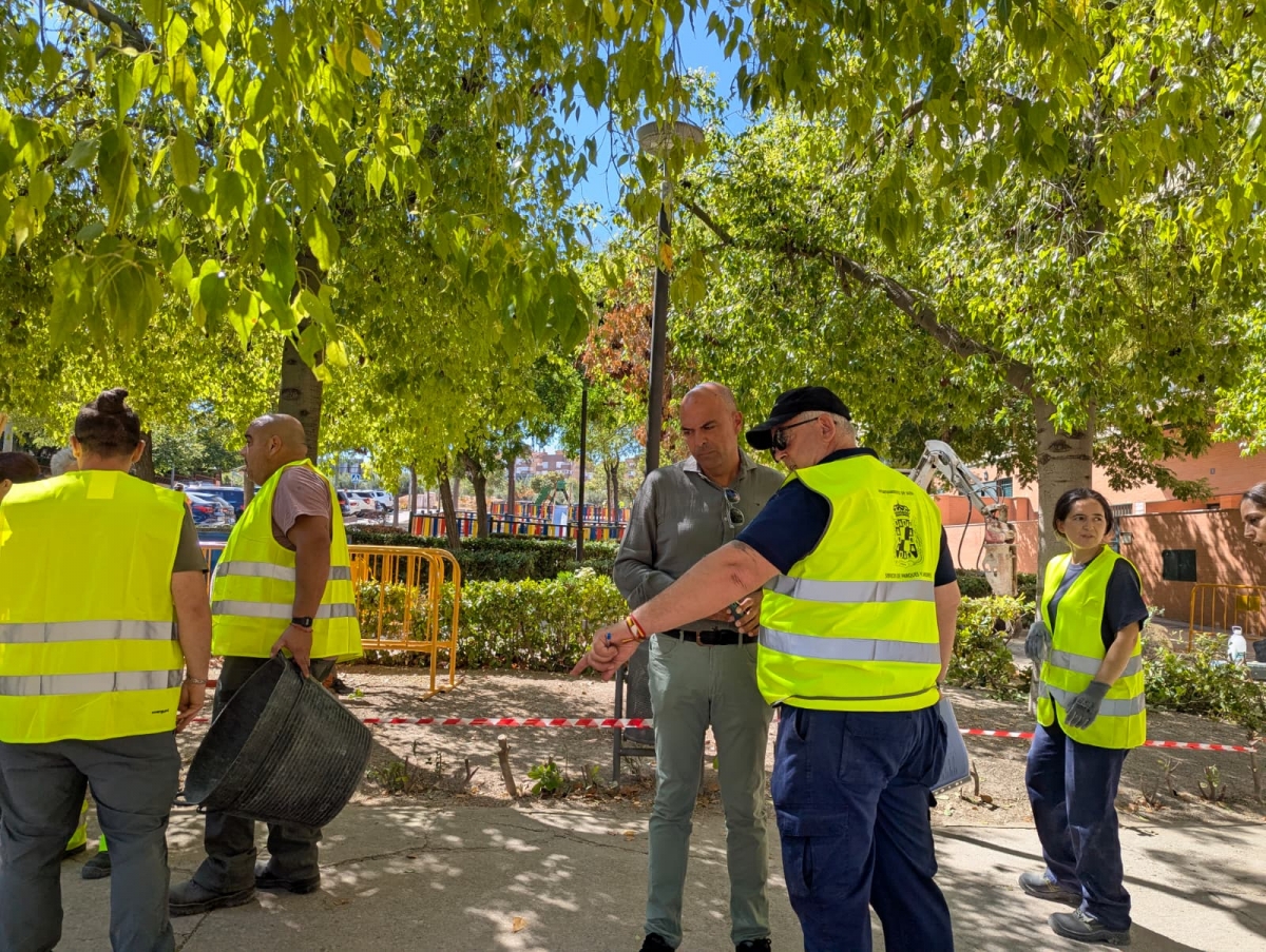 El Ayuntamiento inicia la remodelación de las zonas verdes del tranvía