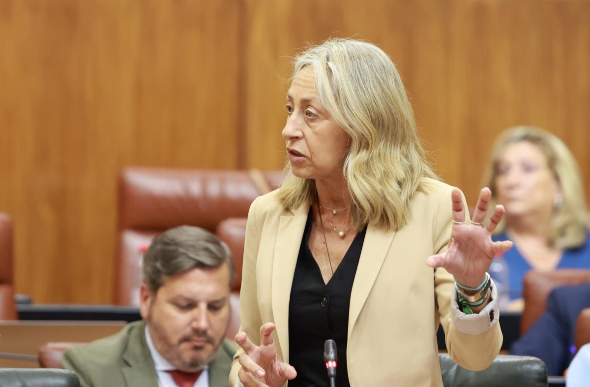El Parlamento retrasa la interpelación a la ya exconsejera de Salud