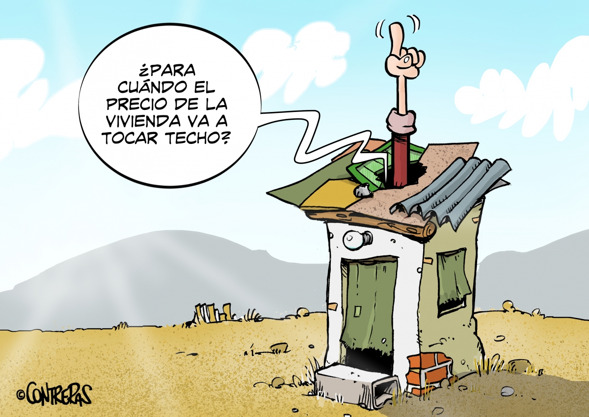  VIÑEXTRA | Tocando techo 