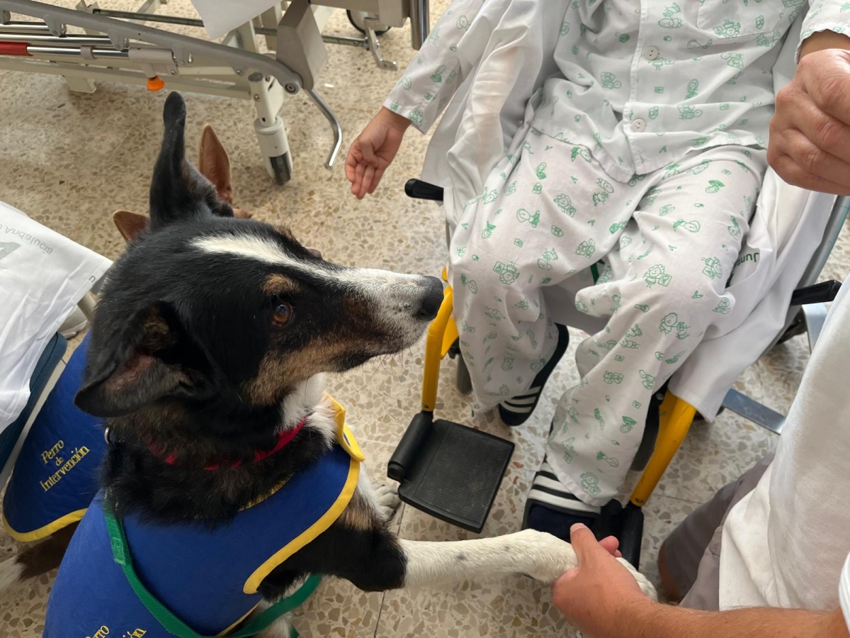  El Hospital de Jaén impulsa la terapia canina con menores 