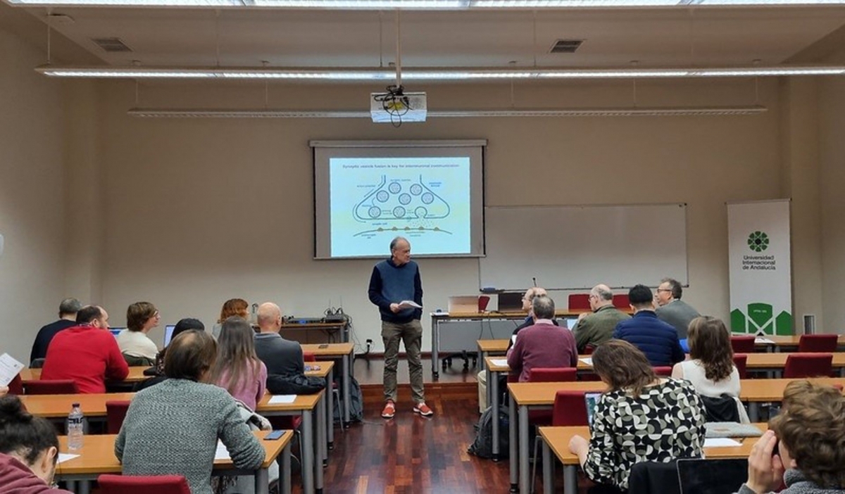  Los mecanismos sinápticos en la salud y la enfermedad, a estudio 