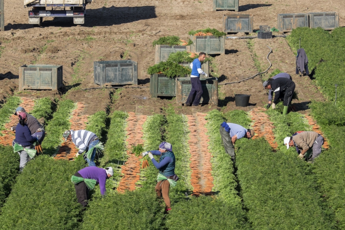  La Junta pide bajar un 35% los módulos de IRPF en agricultura 