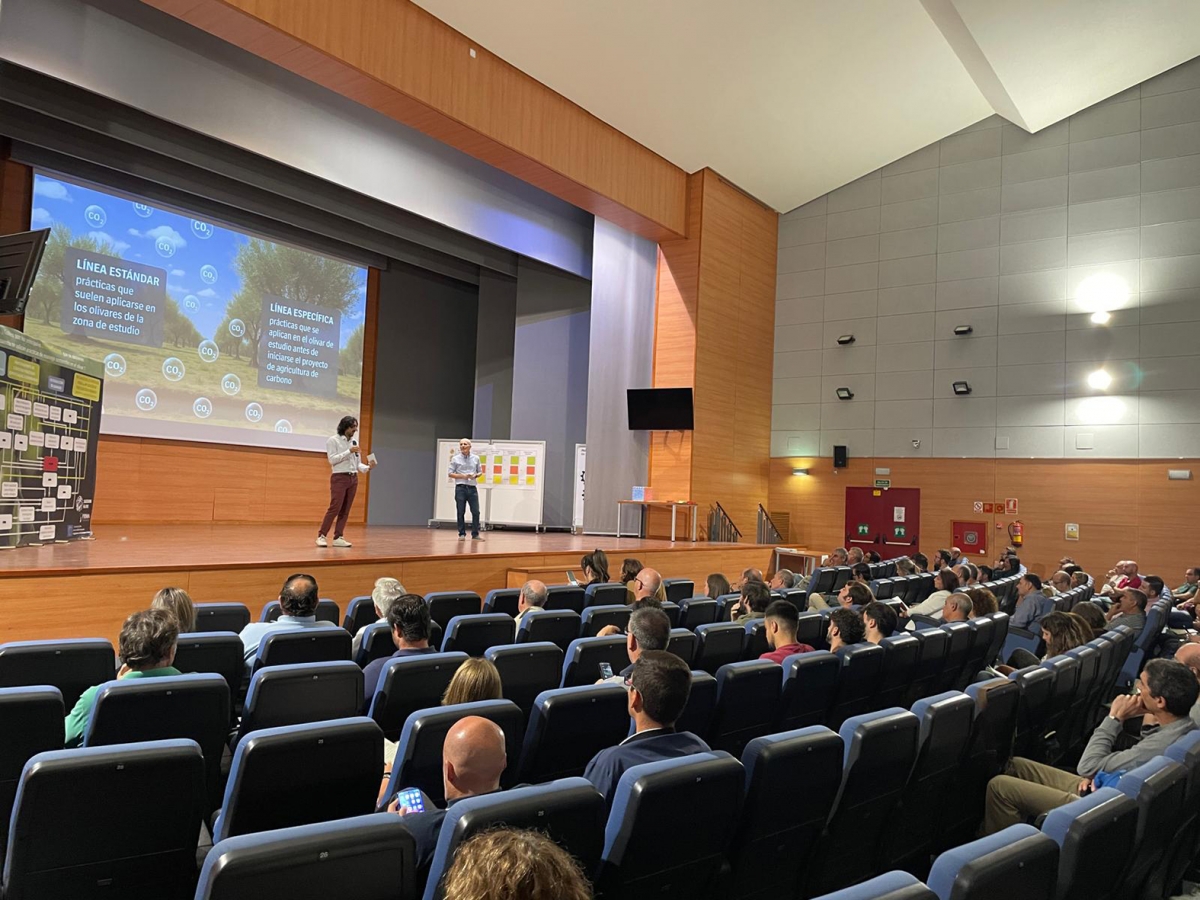 La UJA celebra una jornada sobre créditos de carbono en el olivar