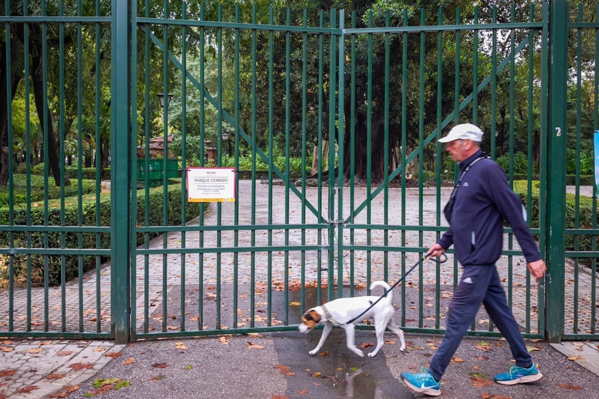  La provincia cuenta con más de 200.000 animales de compañía registrados 