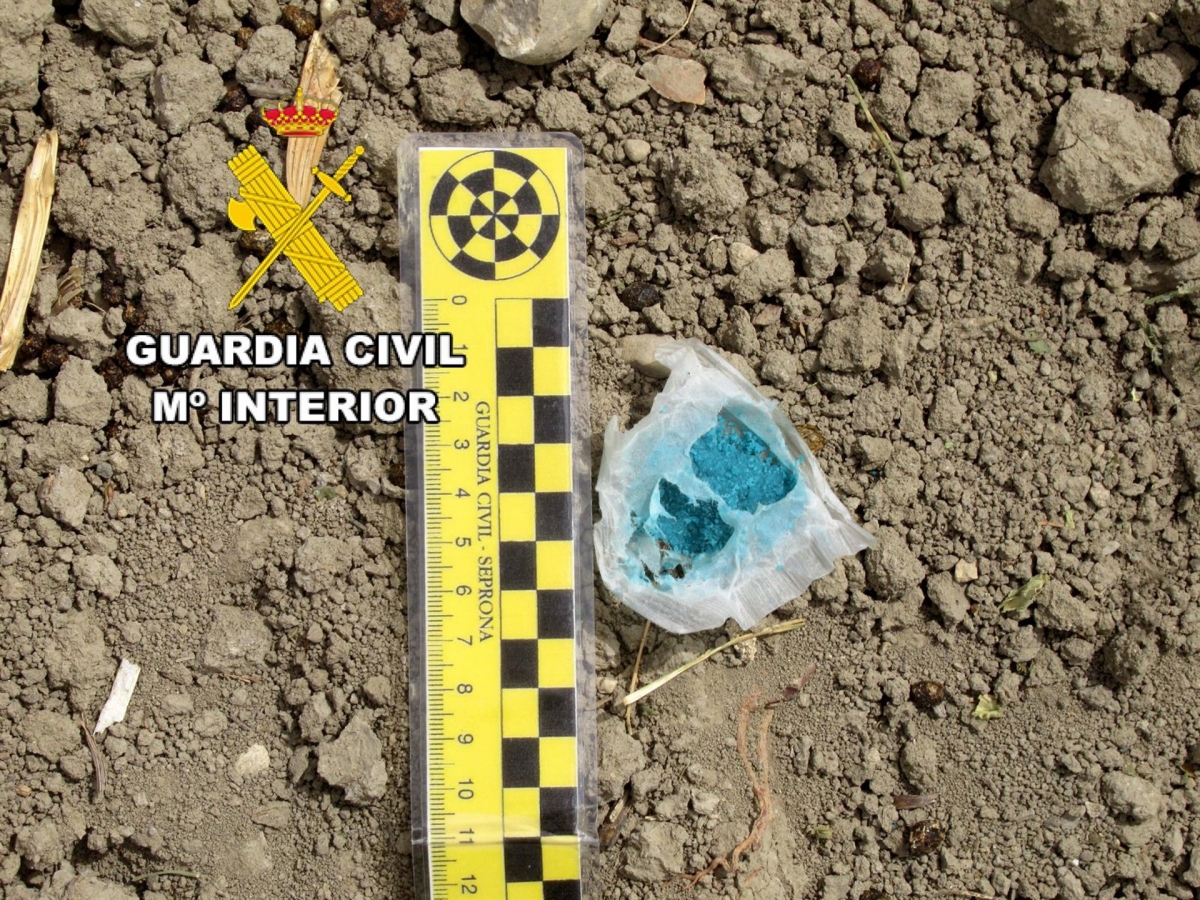  Investigado el propietario de una finca de Alcalá por uso de veneno 
